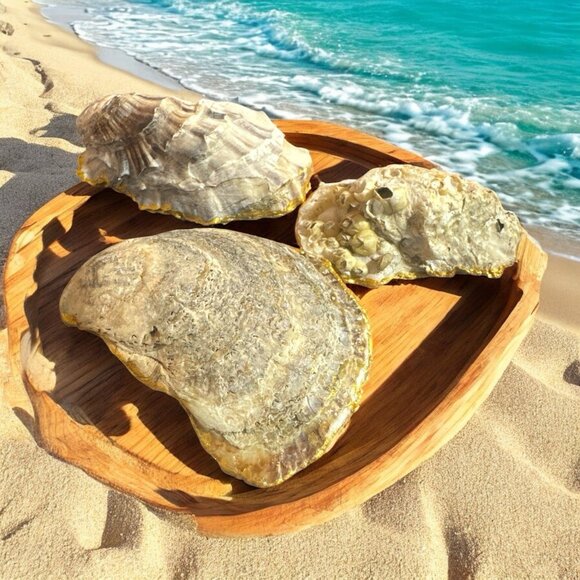 Handmade Decoupage Oyster Shell Trinket Dish Butterflies Pearls - Picture 4 of 6